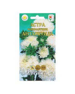 Семена цветов Астра однолетняя Антарктида 0 2 г 4 шт Артикул
