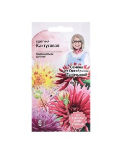 Семена цветов Георгина Кактусовая 0 2 г 4 шт Nobrand