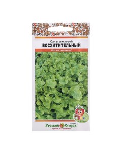 Семена Салат листовой Восхитительный смесь ц п 200 шт 4 шт Русский огород