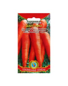 Семена Морковь Шантино 3 шт Плазмас