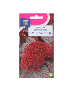 Семена цветов Целозия гребенчатая Императрица 0 2 г 3 шт Урожай удачи