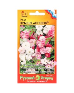 Семена цветов Роза Крылья Ангелов 10 шт 2 шт Русский огород
