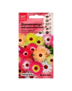 Семена цветов Доротеантус Яркий микс маргаритковидный 0 1 г 4 шт Nobrand