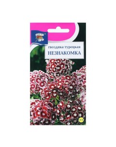 Семена цветов Гвоздика Турецкая НЕЗНАКОМКА 0 1 г 3 шт Урожай удачи
