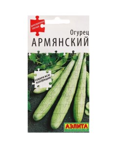 Семена огурца Армянский 10 шт 3 шт Агрофирма аэлита