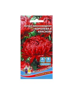 Семена Цветов Астра пионовидная Королева в красном 0 2 г 3 шт Уральский дачник