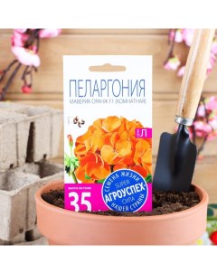 Семена комнатных цветов Пеларгония Oранж 4 шт Агроуспех