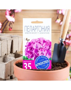 Семена комнатных цветов Пеларгония Виолет 4 шт Агроуспех