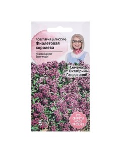 Семена цветов Алиссум лобулярия Фиолетовая королева 0 1 г 4 шт Nobrand