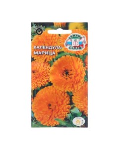 Семена цветов Календула Марица Евро 0 25 г 2 шт Седек