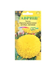 Семена цветов Бархатцы прямые Тагетес Бурке Лимон 0 3 г 4 шт Гавриш