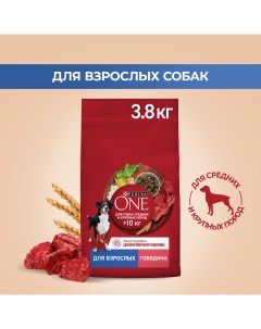 Сухой корм для собак для средних и крупных пород с говядиной и рисом 3 8 кг Purina one