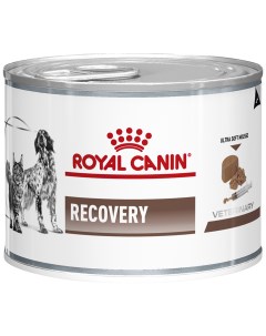 Консервы для кошек и собак Recovery домашняя птица 195г Royal canin