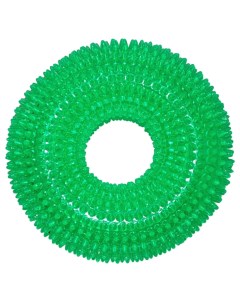 Жевательная игрушка для собак Кольцо с шипами зеленый 12 см N1