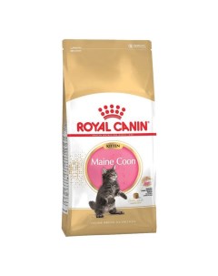 Сухой корм для котят Main Coon Kitten для мэйн кунов 2 кг Royal canin