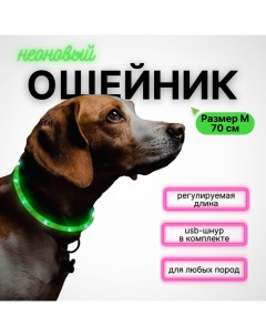Ошейник для собак Walk с LED подсветкой зеленый силикон 55 см Zdk