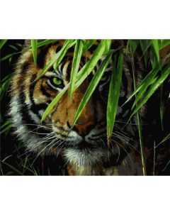 Картина по номерам Изумрудный лес 40x50 см Paintboy