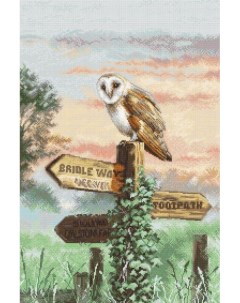 Набор для вышивания Barn Owl Letistitch