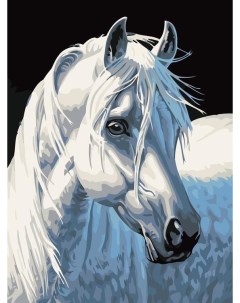 Картина по номерам Белая лошадь 30x40 Белоснежка