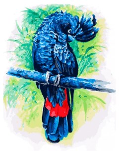 Картина по номерам Синий попугай Белоснежка