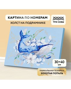 Картина по номерам на холсте Кит 30 40 с поталью акриловыми красками и кистями Три совы