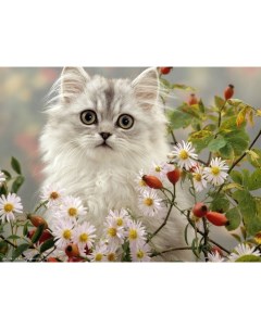Алмазная мозаика Пушистый котик в цветтах 22х32 см 27 цв полн заполнение с подр Рыжий кот