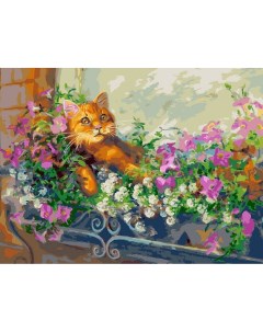 Картина по номерам Любимый кот на отдыхе Белоснежка