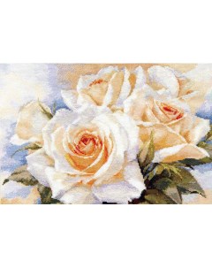 Набор для вышивания Белые розы Alisa