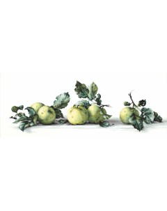 B2259 Набор для вышивания Натюрморт с яблоками 49 5 16 5см Luca-s
