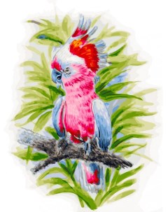 Картина по номерам Розовый попугай Белоснежка
