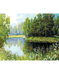 Картина по номерам Лесное озеро 40x50 Живопись по номерам