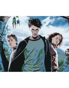 Картина по номерам Гарри Поттер Постер 40x50 см Живопись по номерам