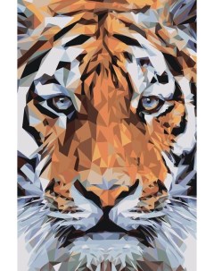 Картина по номерам Взгляд тигра Живопись по номерам