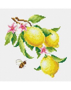 Набор для вышивания Ветка лимона Многоцветница