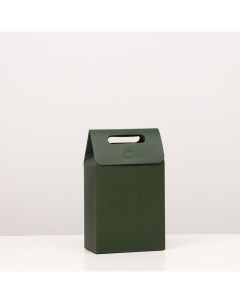 Коробка пакет с ручкой зеленая 27х16х9 см 5 шт Upak land