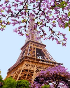 Картина по номерам Очарование Парижа Вангогвомне