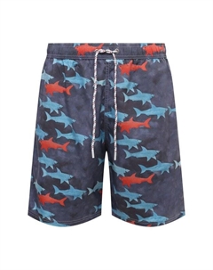 Плавки-шорты Paul & shark