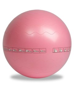 Мяч гимнастический IRBL17106 P ф круглый d 65см розовый Ironmaster