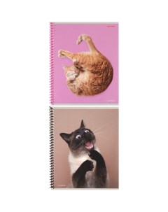 Тетрадь 48 л в клетку на гребне Такие смешные кошки обложка мелованный картон МИКС Проф-пресс