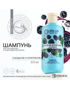 Шампунь для волос очищение и укрепление 300 мл аромат ежевика tropic bar by Ural lab