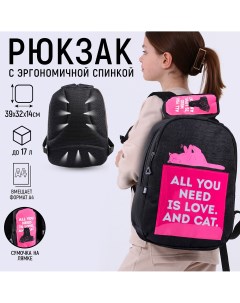 Рюкзак школьный cat and love 39x32x14 см Art hype