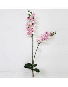 Орхидея фаленопсис с листьями KR_882 90 см Конэко-о