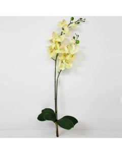 Орхидея фаленопсис с листьями KR_998 90 см Конэко-о