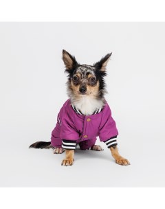Комбинезон для собак Комикс S фиолетовый девочка Petmax