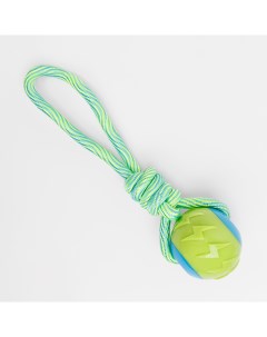 Игрушка для собак Мяч на веревке 7 см Rurri