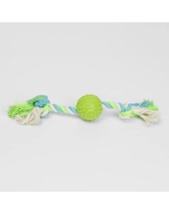 Игрушка для собак Мяч на веревке 30х5х5 см Rurri