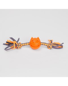 Игрушка для собак Мяч Кот на веревке 4 5 см Rurri