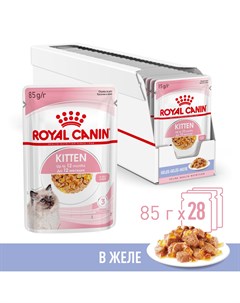 Kitten Instinctive пауч для котят кусочки в желе Мясо 85 г упаковка 28 шт Royal canin