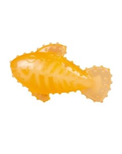 Игрушка для собак резиновая Рыбка оранжевая 16 7x9 9x6см Бельгия Duvo+