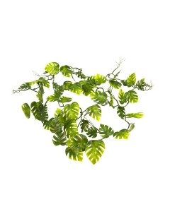 Декоративное растение для террариумов Pothos Vine 200см Германия Lucky reptile